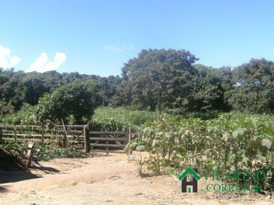 Sítio, 2 quartos, 4 hectares - Foto 4