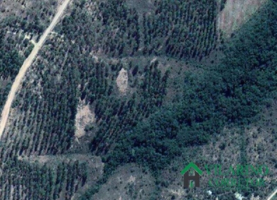 Terreno, 1 hectares - Foto 3