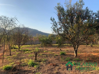 Terreno, 1000 m² - Foto 2