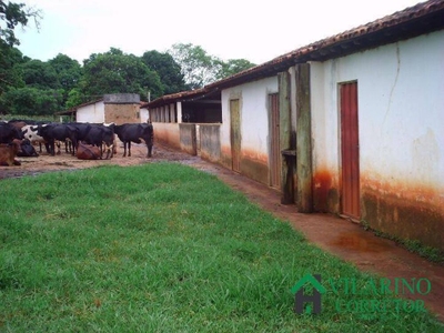 Fazenda-Sítio-Chácara, 24 hectares - Foto 3