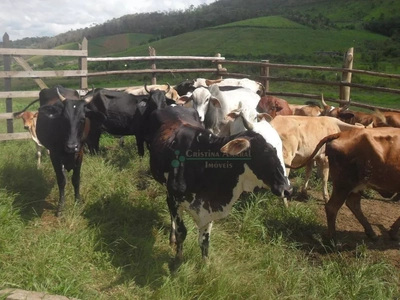 Fazenda-Sítio-Chácara, 94 hectares - Foto 3