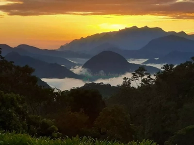 Sítio, 6 quartos, 45 hectares - Foto 5