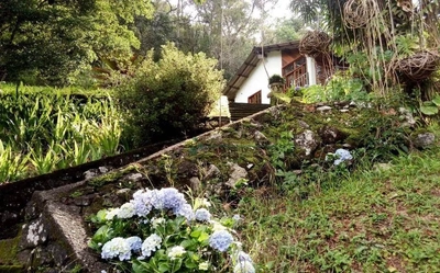 Sítio, 3 quartos, 1 hectares - Foto 4