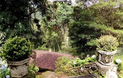 Sítio, 3 quartos, 1 hectares - Foto 3