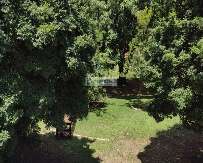 Chácara, 3 quartos, 96 hectares - Foto 3