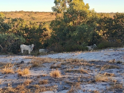 Fazenda-Sítio-Chácara, 210 m² - Foto 4