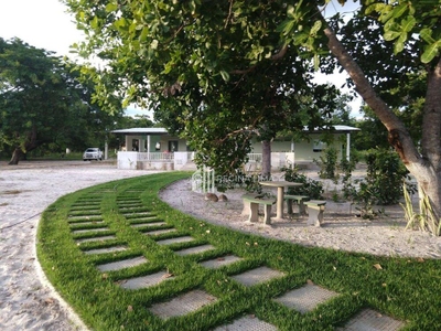 Fazenda, 90 hectares - Foto 1