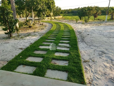 Fazenda, 90 hectares - Foto 2