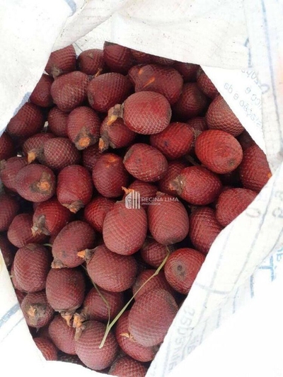 Fazenda, 90 hectares - Foto 4