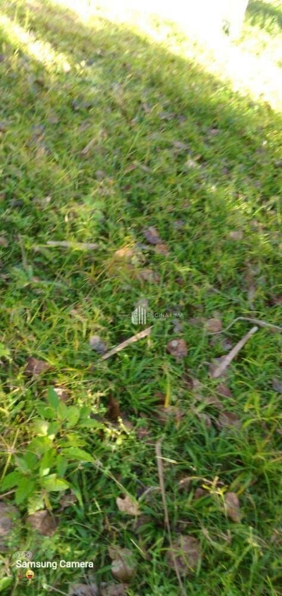 Chácara, 20 hectares - Foto 2