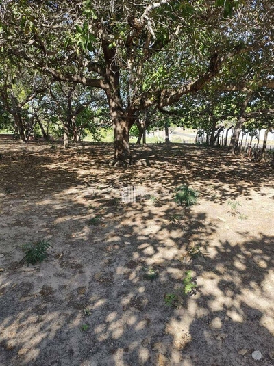 Loteamento e Condomínio, 1 hectares - Foto 2