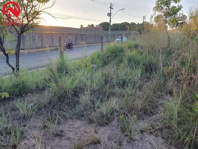 Chácara, 2 hectares - Foto 3