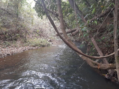 Chácara, 2 hectares - Foto 5