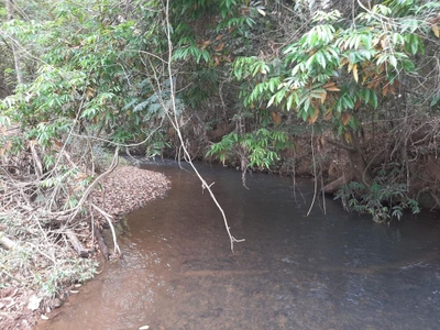 Chácara, 2 hectares - Foto 3