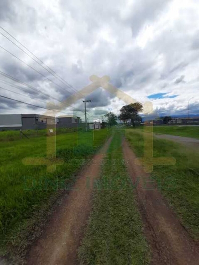 Terreno, 2 hectares - Foto 4