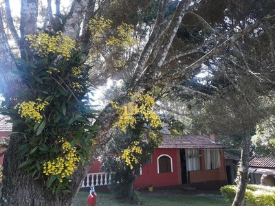 Sítio, 8 quartos, 4000 m² - Foto 5