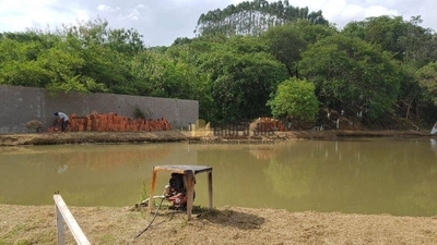 Terreno, 3 hectares - Foto 5