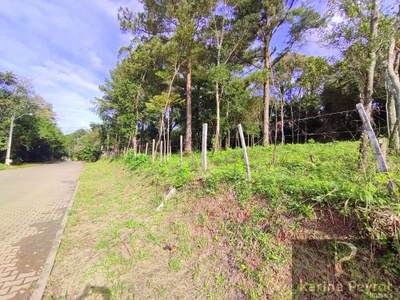 Terreno, 300 m² - Foto 3