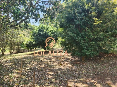 Terreno, 3860 m² - Foto 4