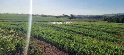 Fazenda-Sítio-Chácara - Foto 3