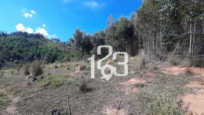 Sítio, 12 hectares - Foto 4