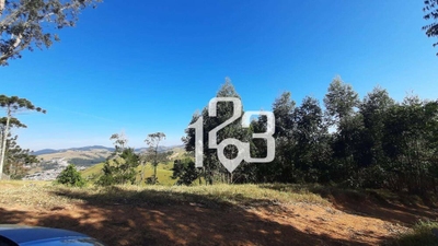 Sítio, 12 hectares - Foto 1