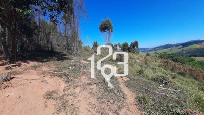 Sítio, 12 hectares - Foto 3