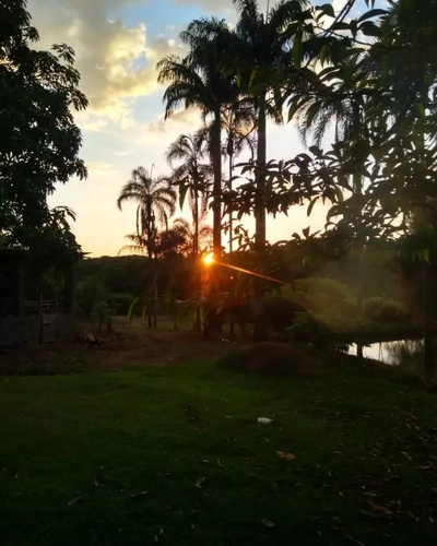 Chácara, 6 quartos, 2 hectares - Foto 2