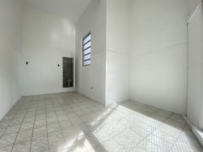 Loja-Salão, 20 m² - Foto 4