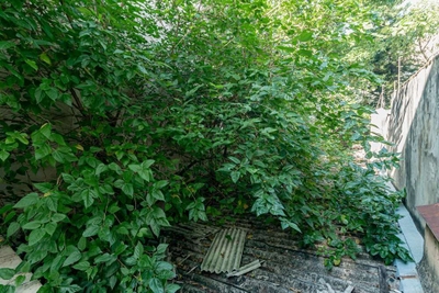 Casa, 5 quartos - Foto 1