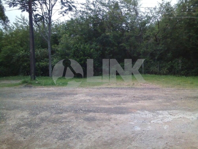 Terreno, 3 hectares - Foto 3