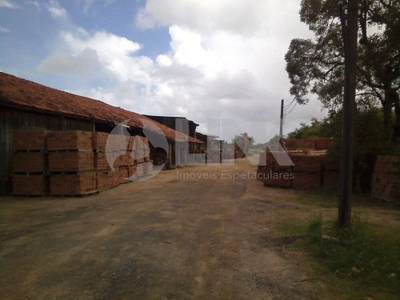 Terreno, 3 hectares - Foto 4