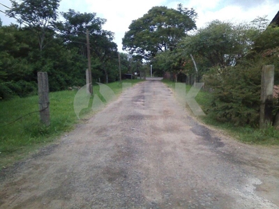 Terreno, 3 hectares - Foto 2