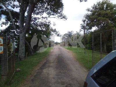 Terreno, 3 hectares - Foto 1