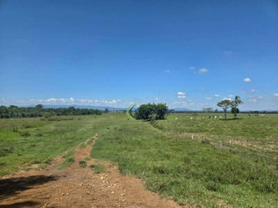 Fazenda, 48 hectares - Foto 2