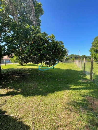 Terreno, 600 m² - Foto 3