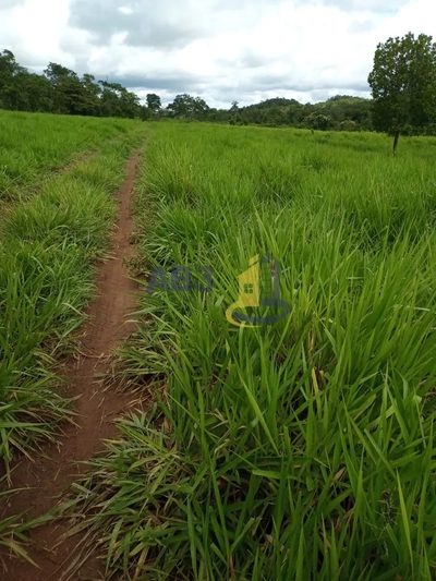 Terreno, 100 m² - Foto 3