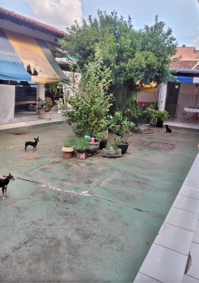 Casa, 5 quartos, 303 m² - Foto 4