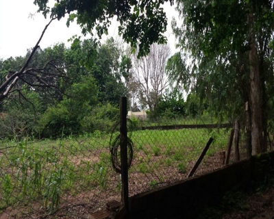 Terreno, 5000 m² - Foto 2