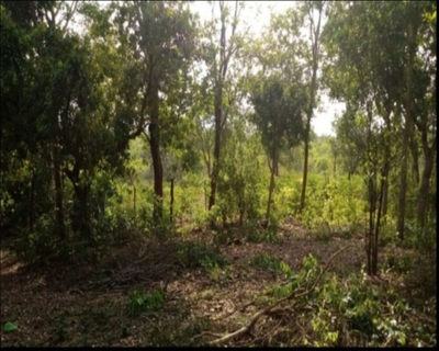 Chácara, 7 quartos - Foto 1