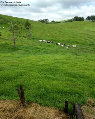 Sítio, 3 quartos, 10 m² - Foto 1