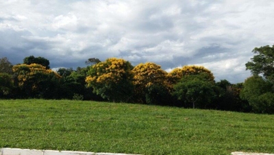 Loteamento e Condomínio, 3000 m² - Foto 5