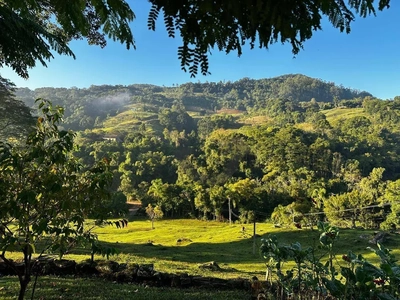 Sítio, 46 hectares - Foto 3