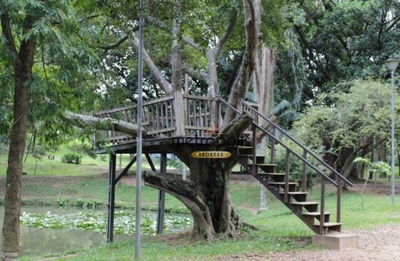 Depósito-Galpão, 500 m² - Foto 4