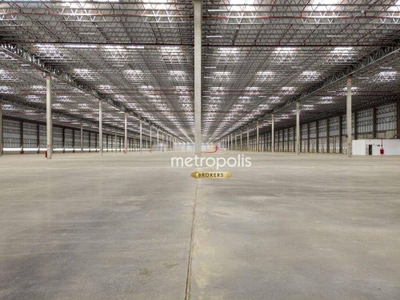 Depósito-Galpão, 10060 m² - Foto 4