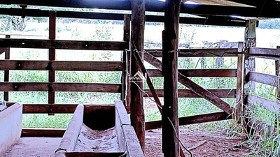 Chácara, 2500 m² - Foto 2