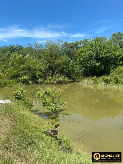 Sítio, 4 quartos, 12 hectares - Foto 4