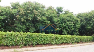 Terreno, 3 hectares - Foto 2