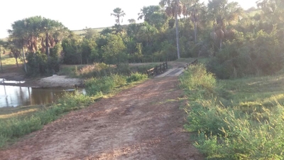 Fazenda, 1864 hectares - Foto 4