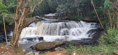 Chácara, 6000 m² - Foto 2